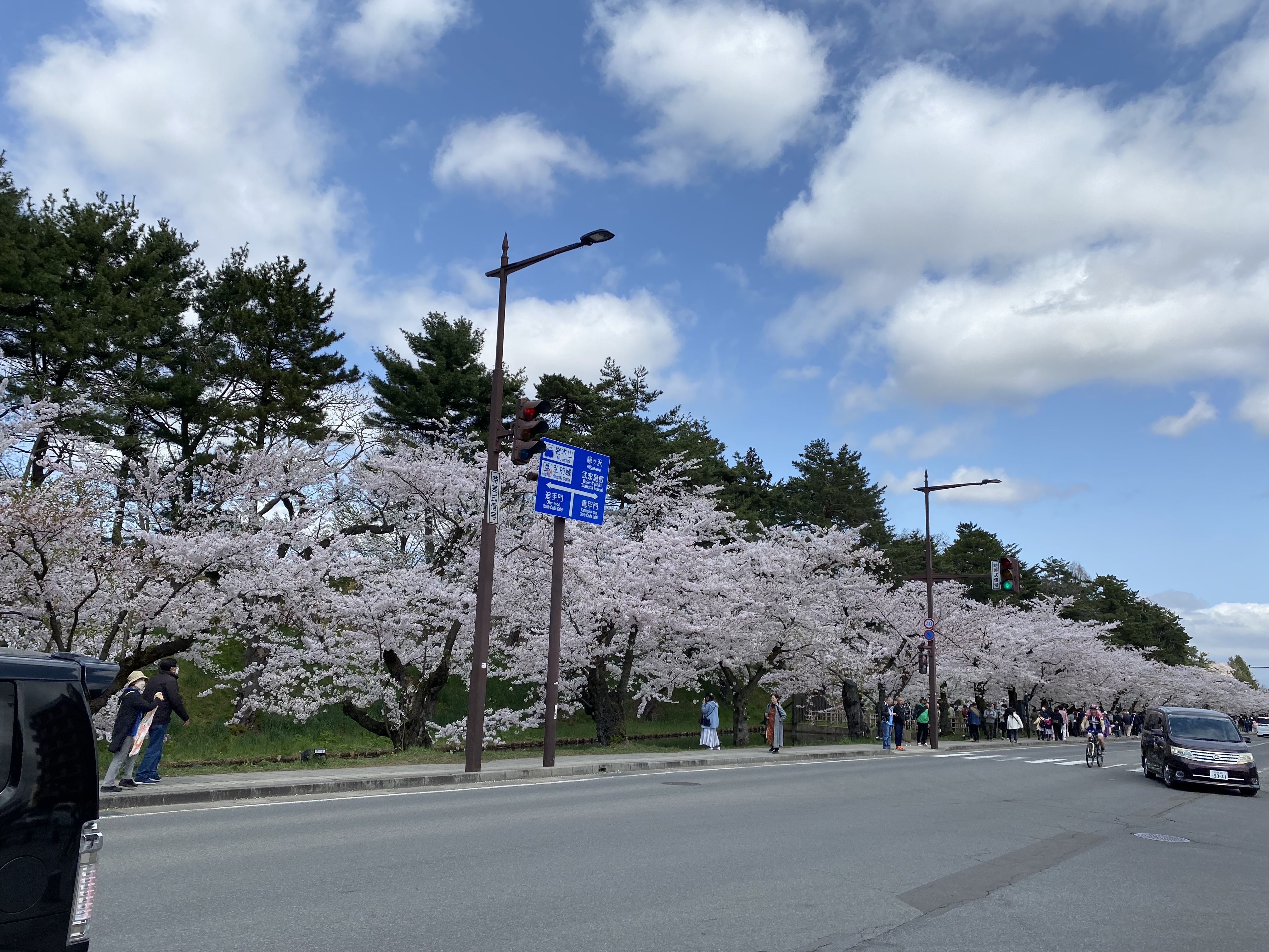 弘前公園さくらまつり行ってきました。